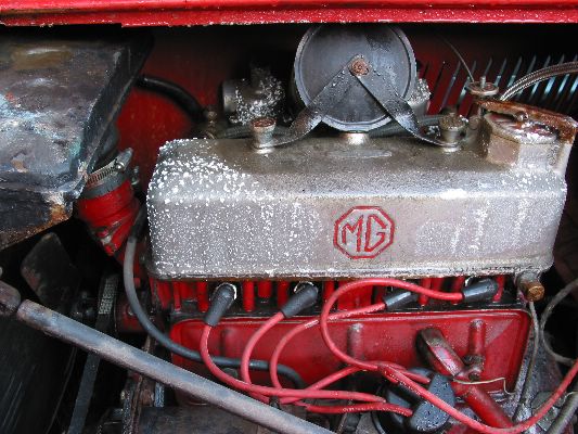 con un p� di muffetta